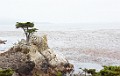 DSC_1633_lc
