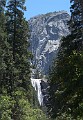 DSC_1337_mc