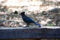 DSC_1382_l