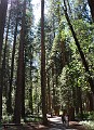 DSC_1385_c