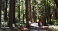 DSC_1385_c_wide
