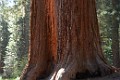 DSC_1404_k