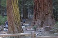 DSC_1414_k