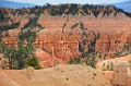 DSC_3740_ffr