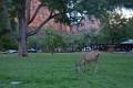 DSC_3988_fmk