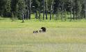 DSC 9695 klc