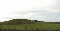 DSC_0716_c