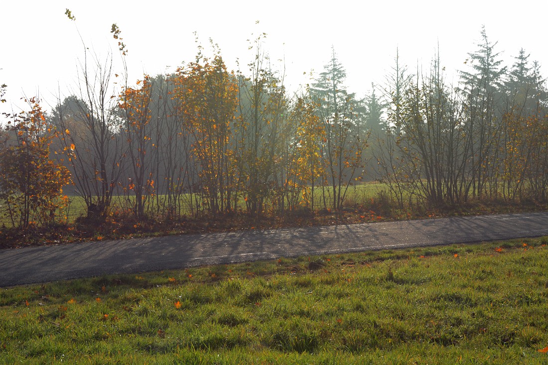 DSC_6319_mfk.jpg - Nautrupvej ved Vile
