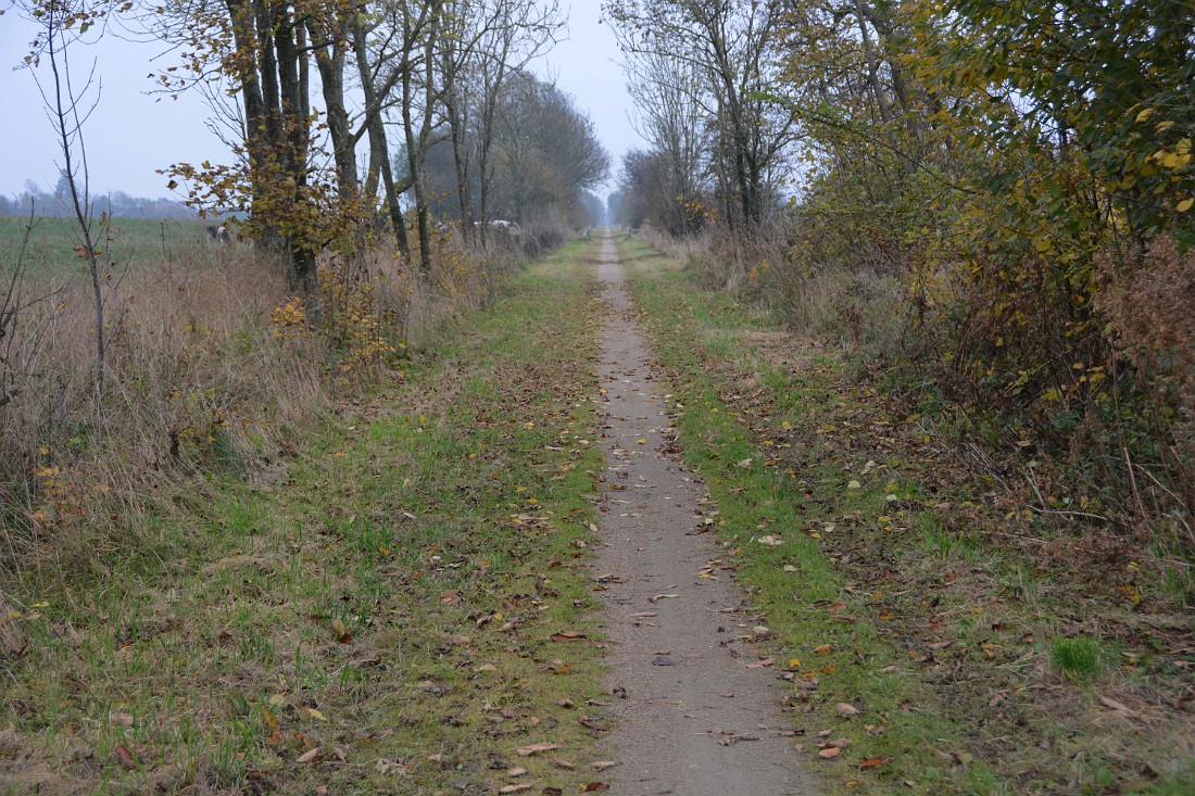 DSC_6339_mfk.jpg - Nedlagt jernbane, nu natursti ved Durup