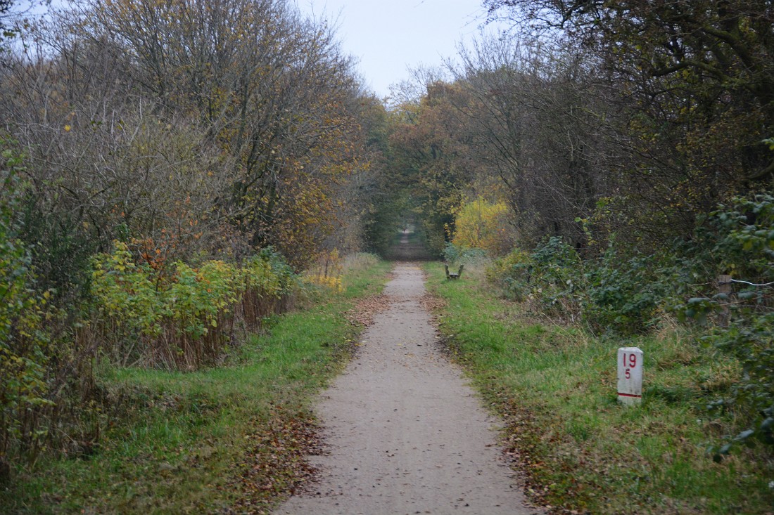 DSC_6342_mfk.jpg - 19,5 km til Skive
