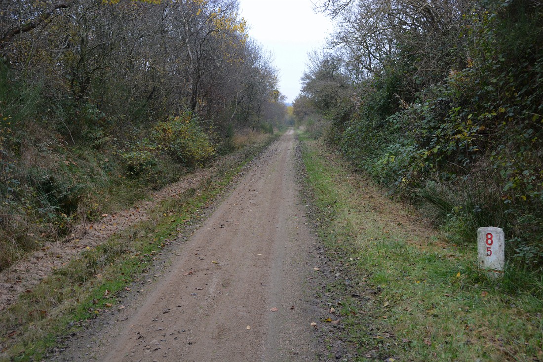 DSC_6343_mfk.jpg - 8,5 km til Skive