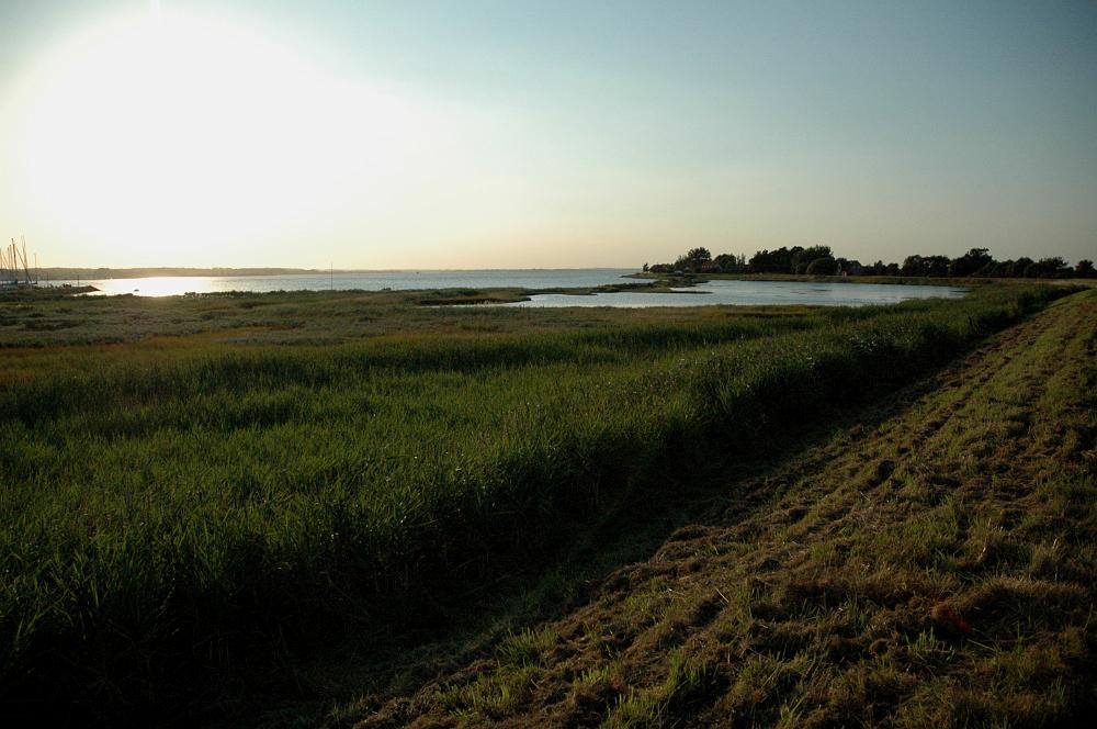 DSC_0011.JPG