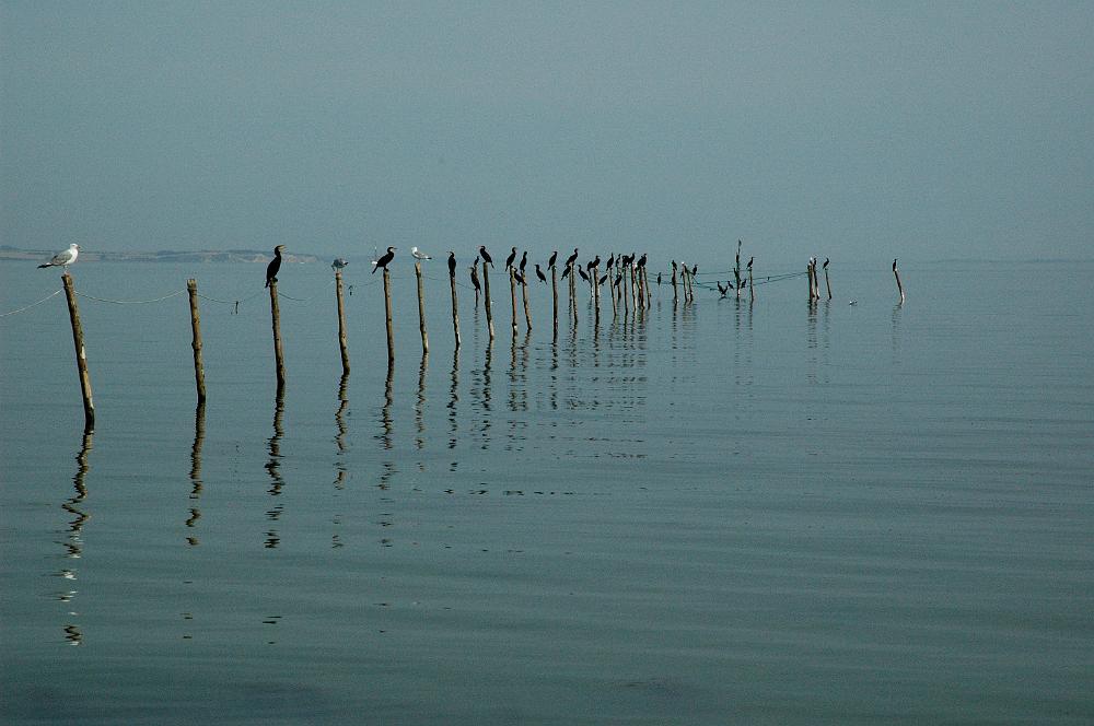 DSC_0072.jpg