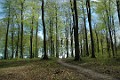 boegeskoven_2005