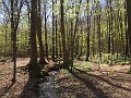 IMG_2535