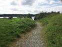 IMG 3478 l