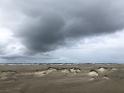 IMG 6894 l