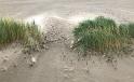 IMG 6895 c