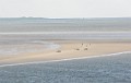 DSC_8436_mkc