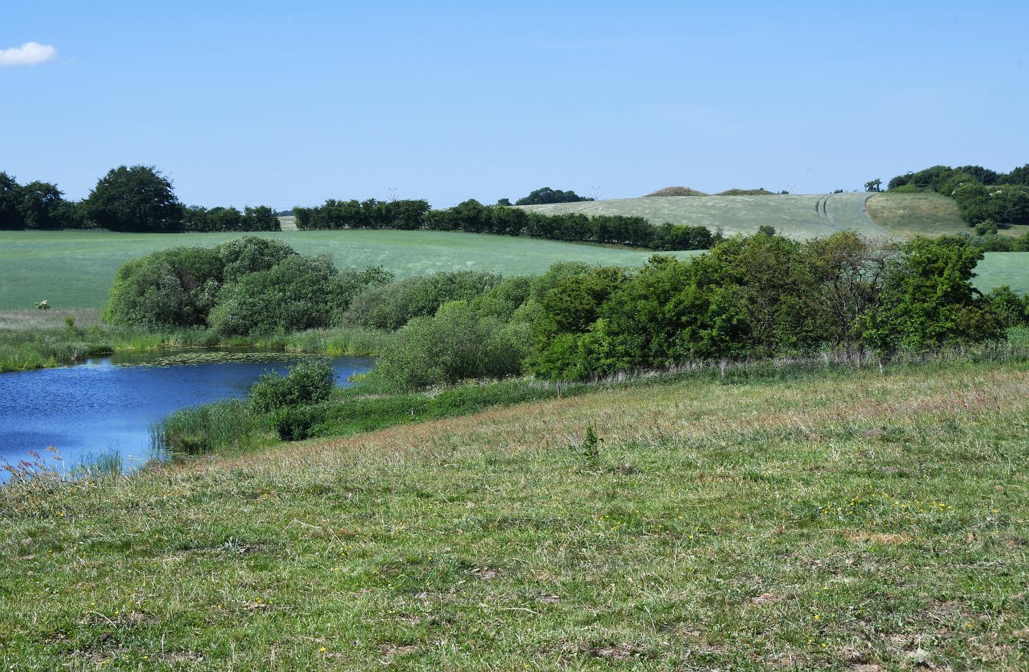 DSC 1308 lkre