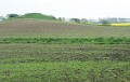 DSC_8243_mkc