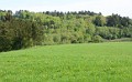 DSC_8290_ck