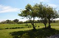 DSC_8310_lc