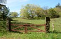 DSC_8336_kc