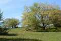 DSC_8338_mk