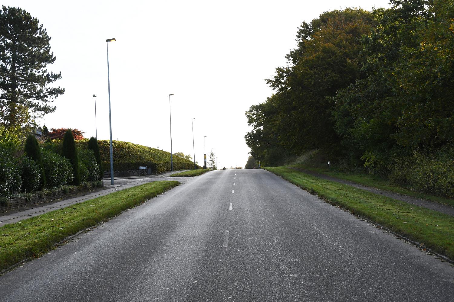 DSC 0273 l