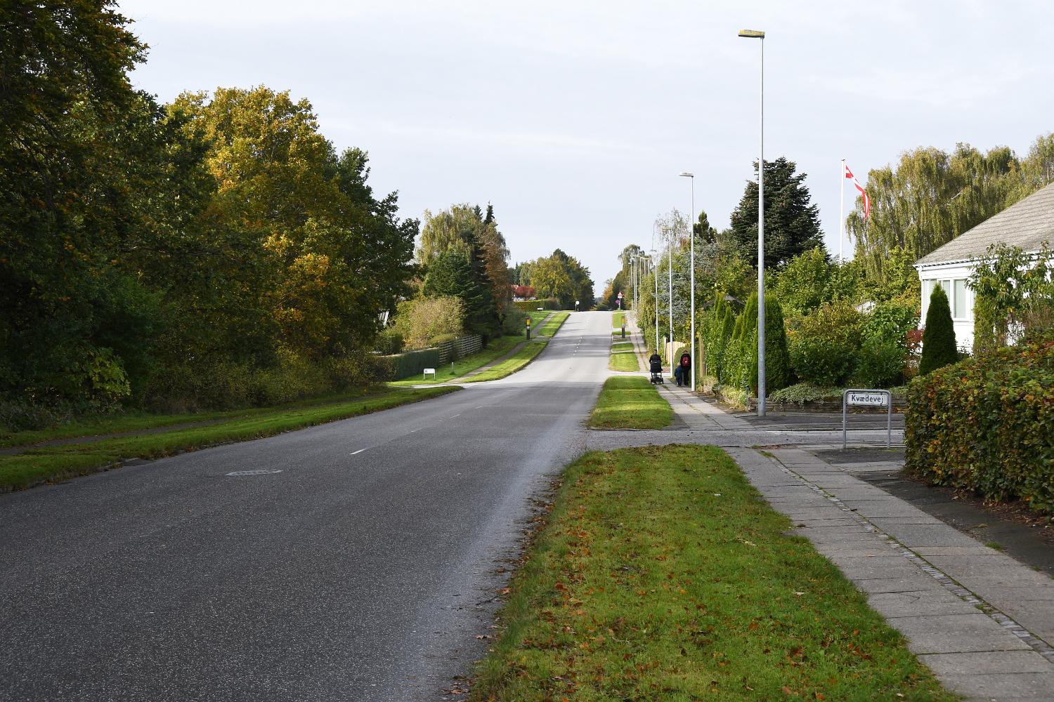 DSC 0293 l