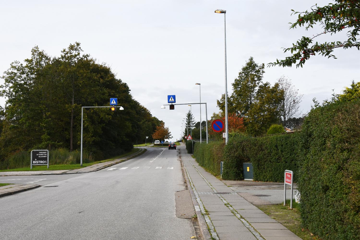 DSC 0300 l