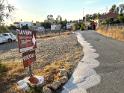 IMG 5595