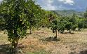 IMG 5731 c