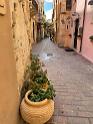 IMG 5753
