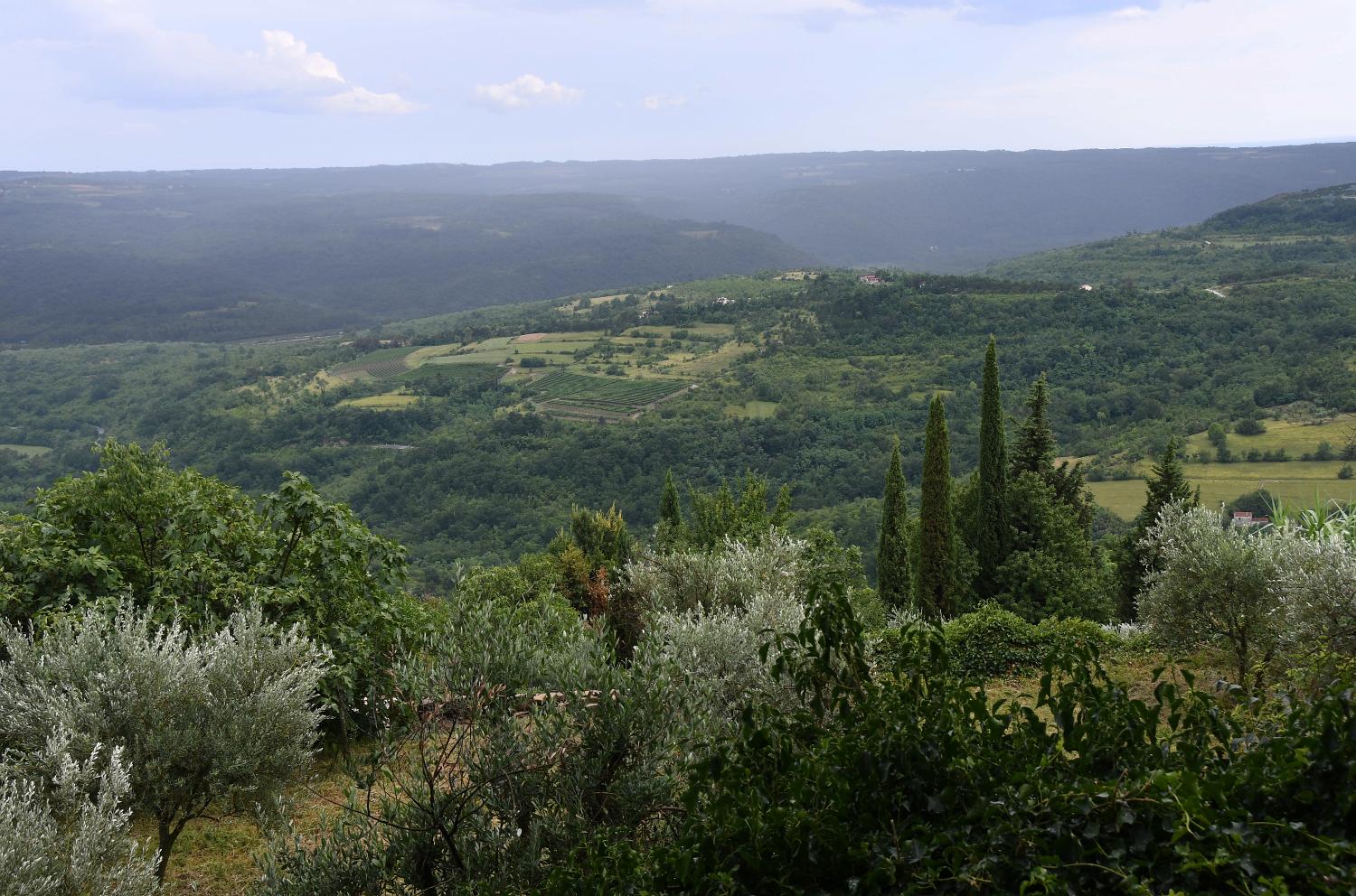 DSC 1647 ce