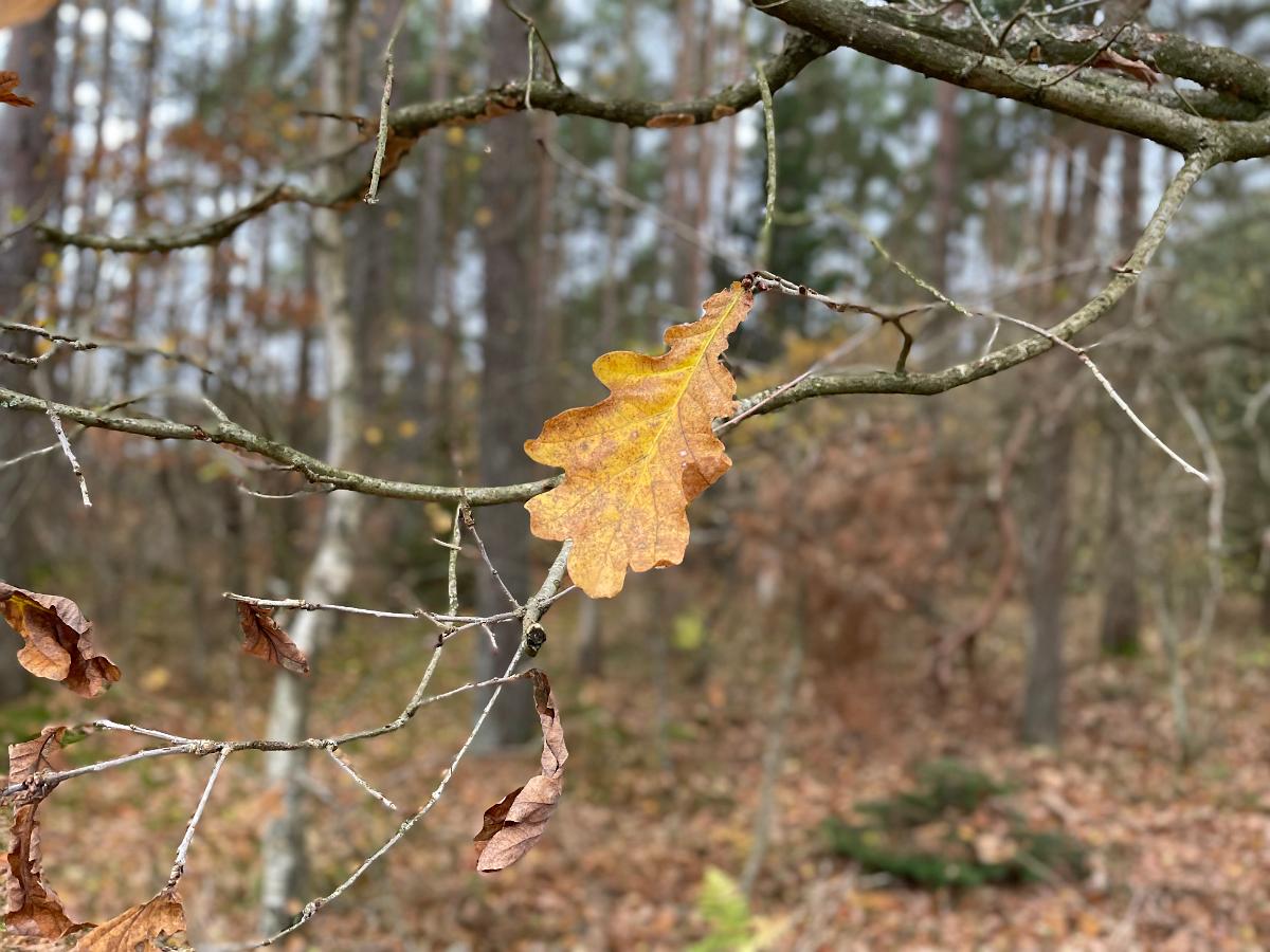 IMG E5872