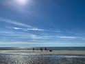 IMG 8175