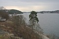 DSC_1530_kc