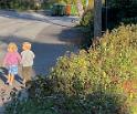 IMG 5384 c