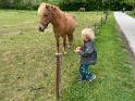 IMG 6577