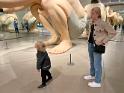 IMG 6610