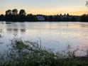 IMG 6638